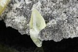 Twinned Calcite Crystal on Dolomite Matrix - Missouri #176009-3